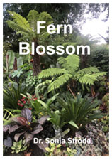 Fern Blossom by Dr Sonja Strode