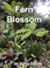 Fern Blossom